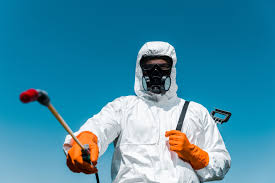 Outdoor Pest Control in Inkster, MI